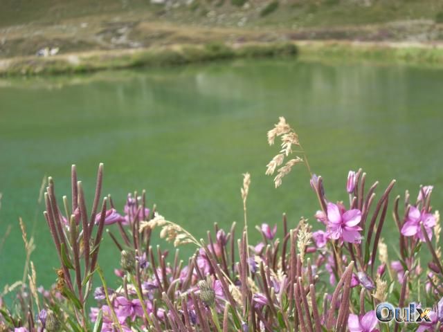 © 2009 Evelina Perron - Lago del Gad