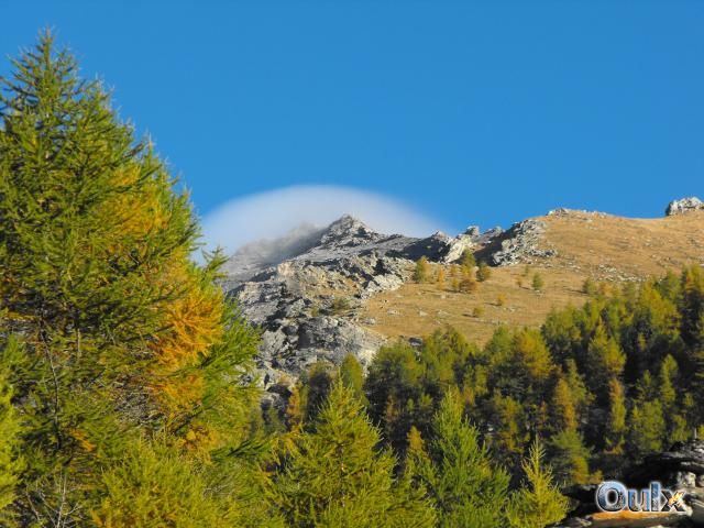 © 2011 TOLA MARCELLINO - Cappello sul Nible'