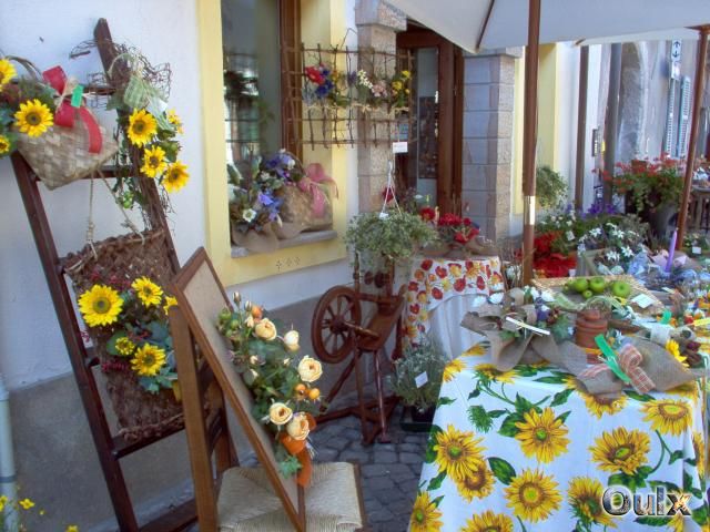 © 2011 Stasio Guido - Holiday